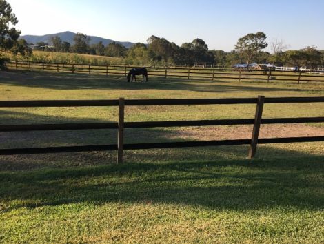 Black Horse Fence Yards