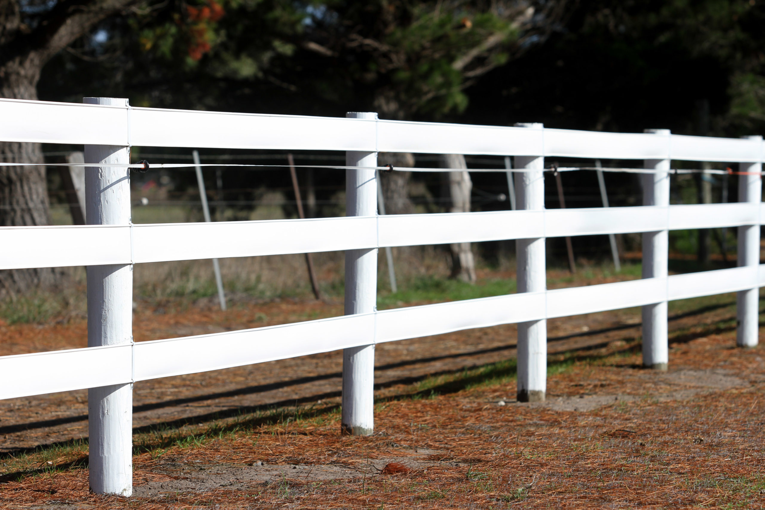 Horse Fence Rail – Which is the best?